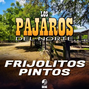 收聽Los Pajaros del Norte的A la Luz de un Farol歌詞歌曲