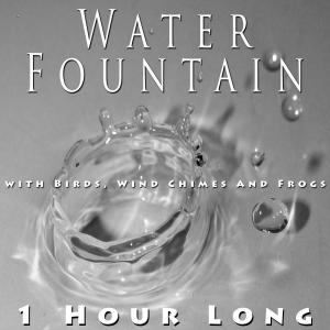 ดาวน์โหลดและฟังเพลง Water Fountain with Birds, Wind Chimes and Frogs 1 Hour Long พร้อมเนื้อเพลงจาก Zen Meditations from a Sleeping Buddha