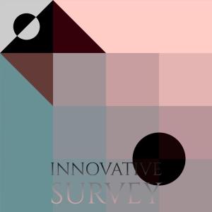 Various Artists的專輯Innovative Survey