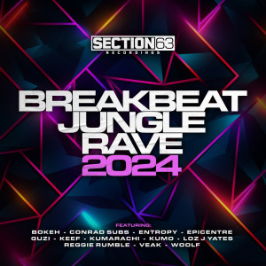 Various Artists的專輯Breakbeat, Jungle, Rave - 2024