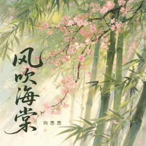 Album 风吹海棠 from 向思思