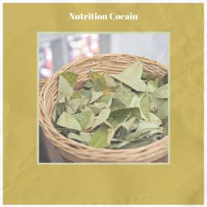 Dengarkan lagu Solid Legacy nyanyian Donville Suey dengan lirik