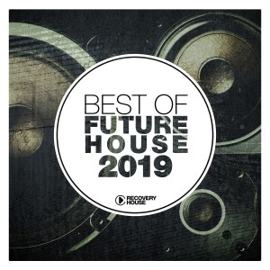 Various Artists的专辑Best of Future House 2019