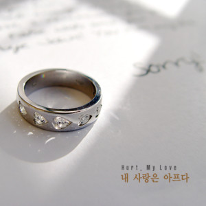 收聽소린的내 사랑은 아프다 My Love Is Sick.歌詞歌曲