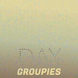 Various Artists的專輯Day Groupies