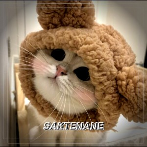 Saktenane dari DJ OSLO