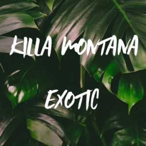Listen to Exotic song with lyrics from Killa Montana
