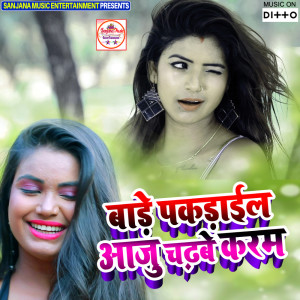 收聽Singer Nadeem的Pyar Me WO Dhokha De Gai歌詞歌曲