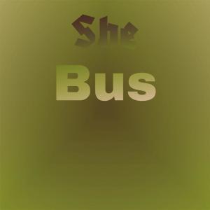 Various Artists的專輯She Bus