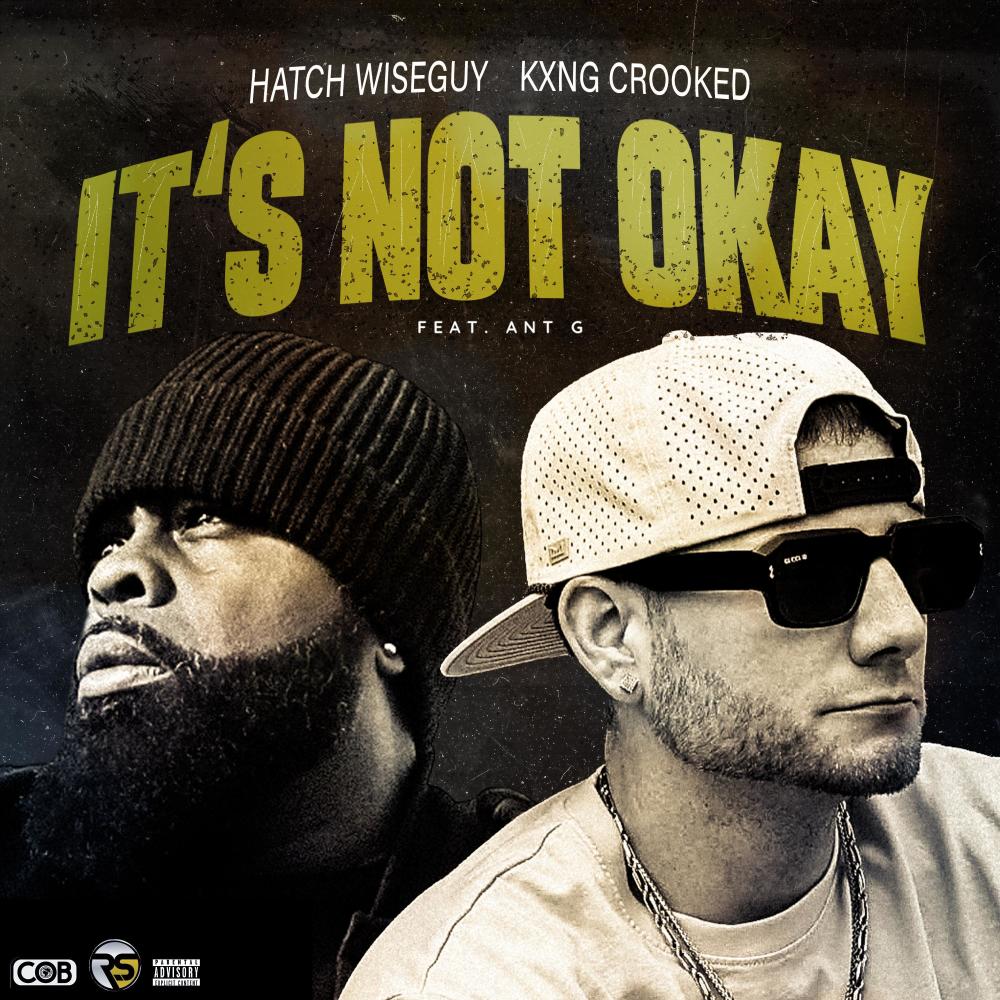 It's Not Okay (feat. Ant G) (Explicit)