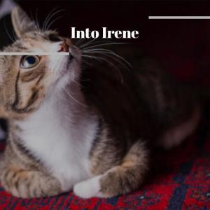 Listen to Into Irene song with lyrics from Hilal Koey