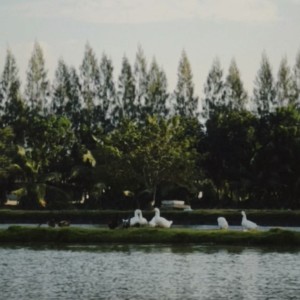 Listen to รอรอรอ song with lyrics from Flukie