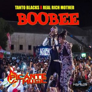 ดาวน์โหลดและฟังเพลง Boobee (Radio Edit) พร้อมเนื้อเพลงจาก Tanto Blacks