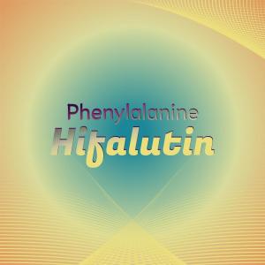 Album Phenylalanine Hifalutin from Various