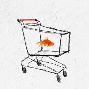 ดาวน์โหลดและฟังเพลง Rosso พร้อมเนื้อเพลงจาก La Malasorte