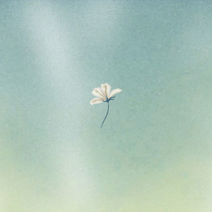 ดาวน์โหลดและฟังเพลง Air พร้อมเนื้อเพลงจาก Phebe Starr