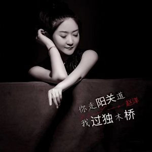 收聽趙洋的你走陽關道我過獨木橋 (Dj老鵬)歌詞歌曲