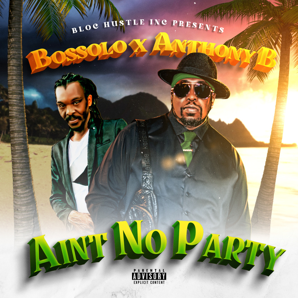 Aint No Party (Remix) (Explicit) (Remix|Explicit)