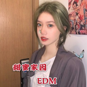 Album 甜蜜家园 oleh EDM