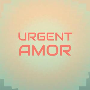 Various的专辑Urgent Amor