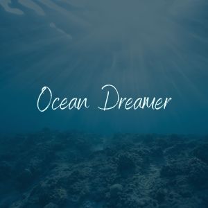 收听Seas of dreams的Ocean Dreamer, Pt. 17歌词歌曲