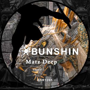 收聽Matz Deep的Unreal歌詞歌曲