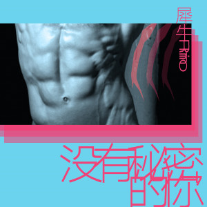 收聽犀牛的沒有祕密的你歌詞歌曲