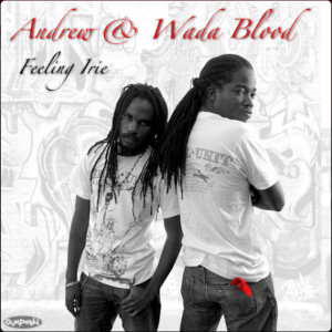 收聽Andrew & Wada Blood的Party Every Night歌詞歌曲