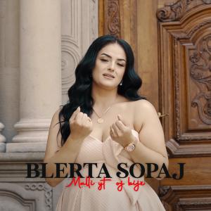 收聽Blerta Sopaj的Malli yt oj bijë歌詞歌曲