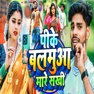 Uday Ujala的专辑Piya Balamua Mare Re Sakhi