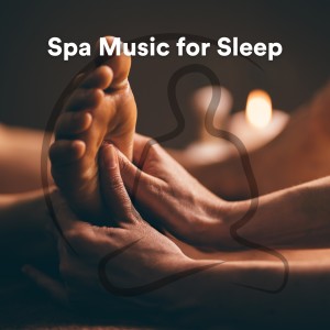 Album Spa Music for Sleep oleh Spa-Musik