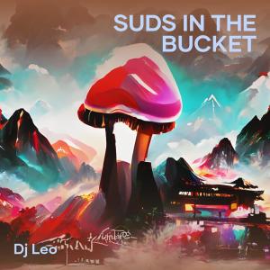 อัลบัม Suds in the Bucket ศิลปิน DJ Leo