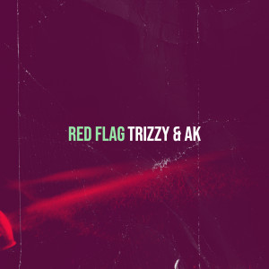 Album Red Flag (Explicit) from Trizzy