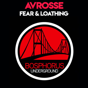 Avrosse的专辑Fear & Loathing