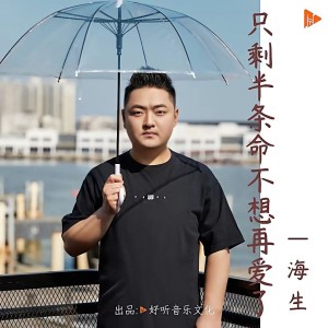 海生的专辑只剩半条命不想再爱了