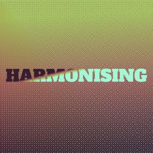 Various的專輯Harmonising