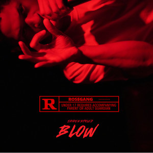 Album Blow (Explicit) from 