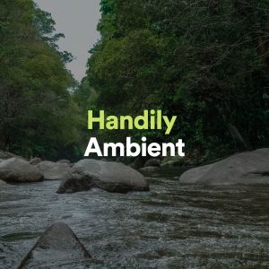 Zen的专辑Handily Ambient