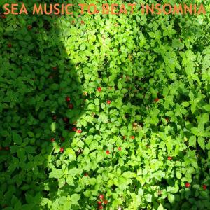 Listen to Sea Music To Beat Insomnia song with lyrics from Only Wave