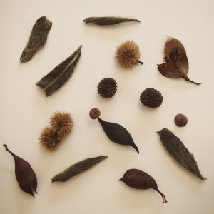 ดาวน์โหลดและฟังเพลง Girls Day (Hinamatsuri) พร้อมเนื้อเพลงจาก Ai Yamamoto