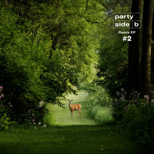 Album Remix #2 - EP from PARTY SIDE B