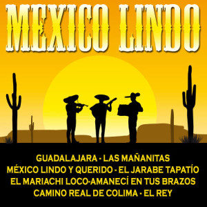 ดาวน์โหลดและฟังเพลง Guadalajara พร้อมเนื้อเพลงจาก Orlando y sus Mariachis