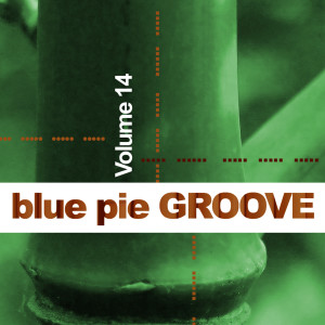 อัลบัม Blue Pie Groove Vol.14 ศิลปิน Various