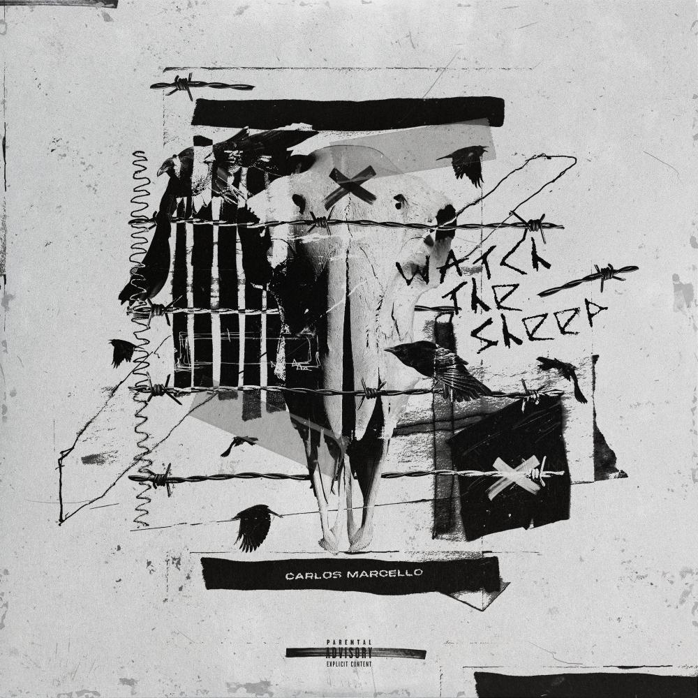 Watch the Sheep (Explicit)