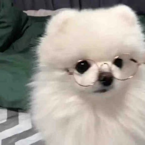 是Esther