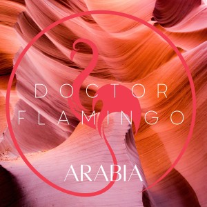 ดาวน์โหลดและฟังเพลง Arabia พร้อมเนื้อเพลงจาก Doctor Flamingo