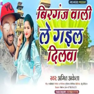 ดาวน์โหลดและฟังเพลง Birgunj Wali Le Gail Dilwa พร้อมเนื้อเพลงจาก Amit Akela