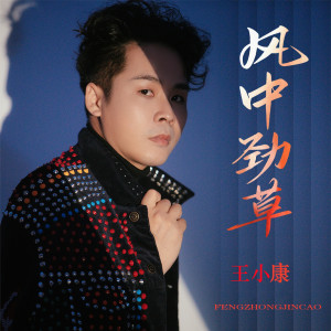 Listen to 风中劲草 song with lyrics from 王小康