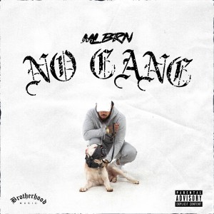 Listen to No Gang (Explicit) song with lyrics from MLBRN