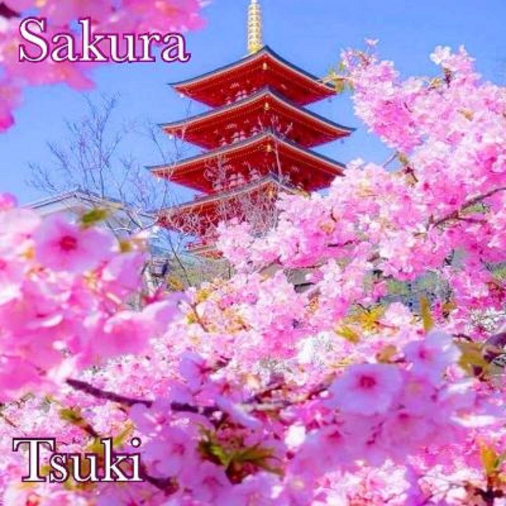 Sakura